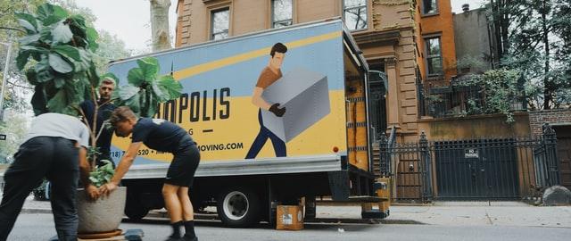 Professional movers loading a big house plant into a van for moving into a green home.