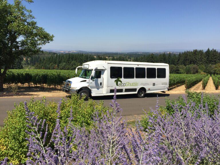 A mini-bus at a vineyard.