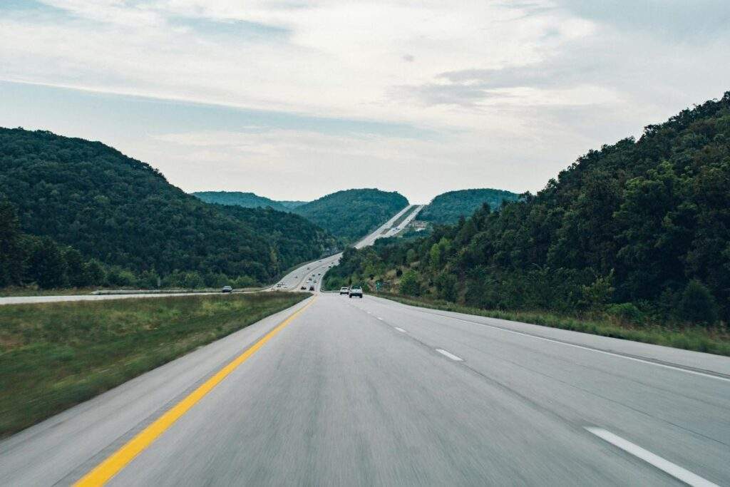 A road through the forest