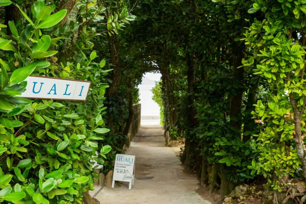 Pathway with inscriptions between greenery trees in an urban garden
